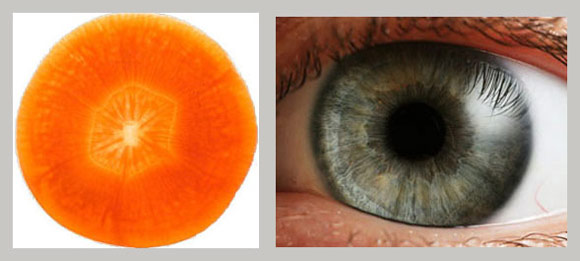 Carrots = eyesight