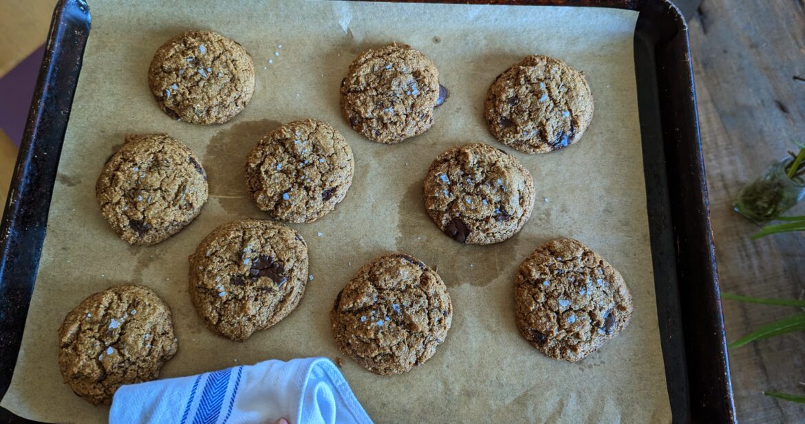 Apricot & Chocolate Chip Rye Cookies