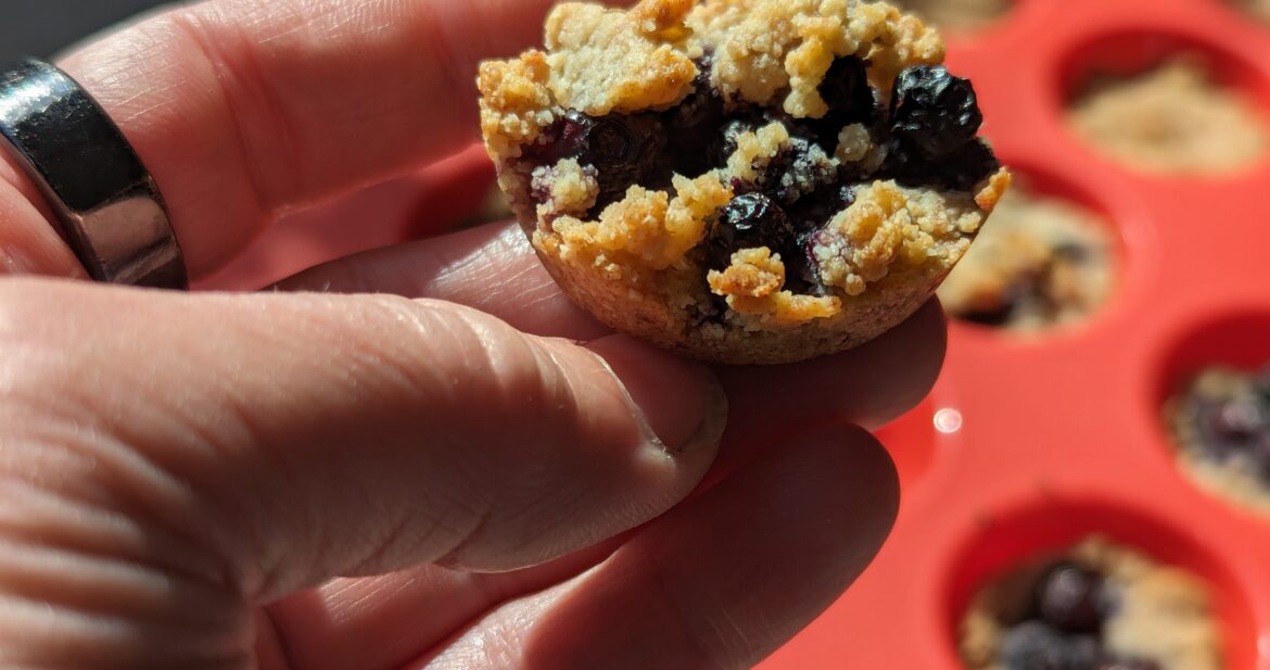 gluten free vegan blueberry pie