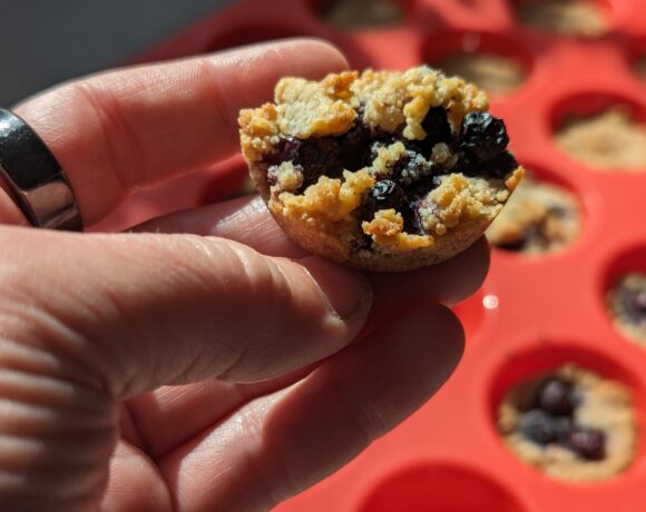 gluten free vegan blueberry pie