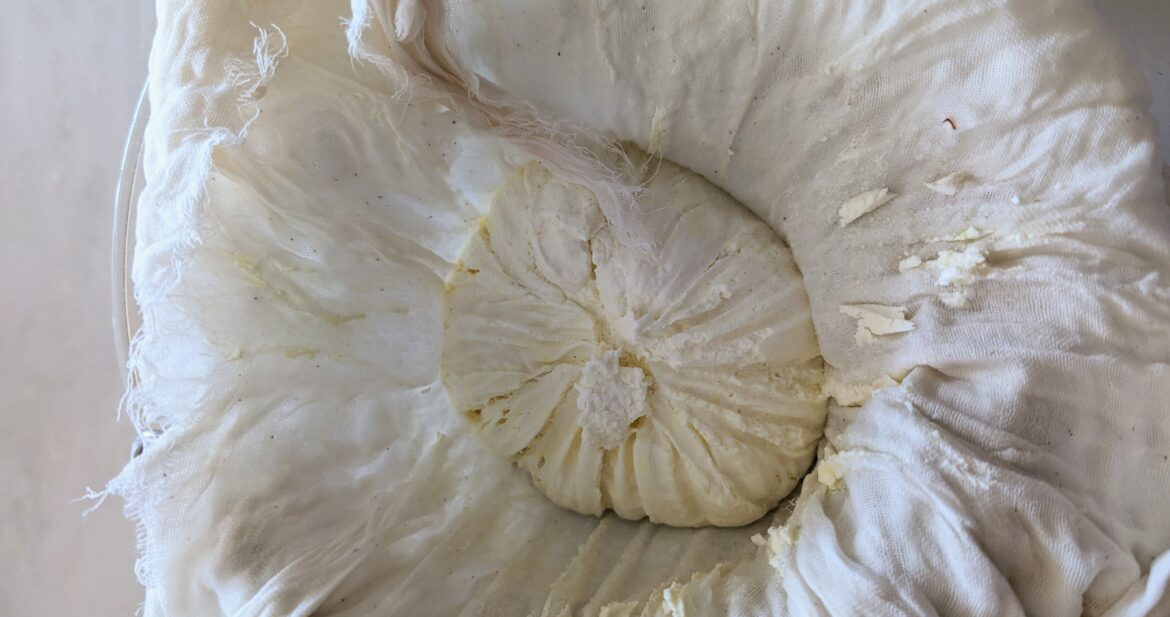 homemade ricotta cheese