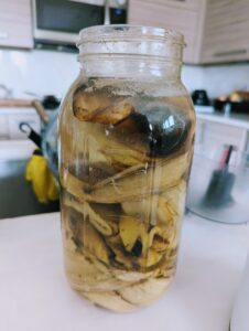 Banana Water Fertilizer
