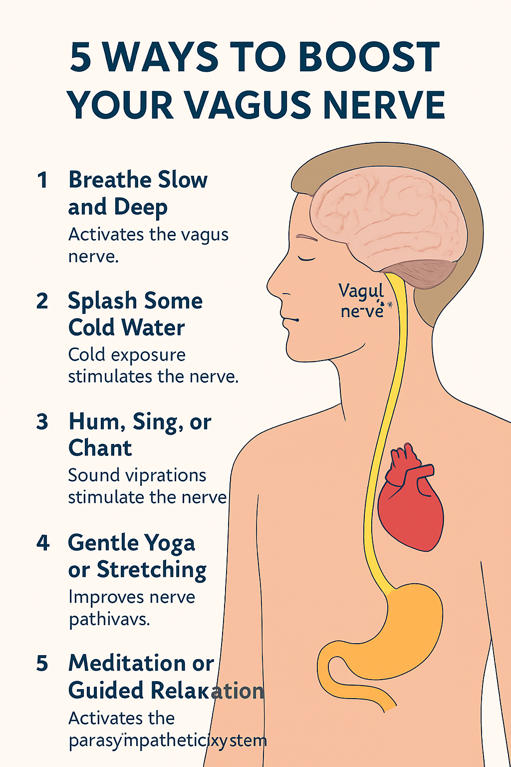 Vagus nerve boost