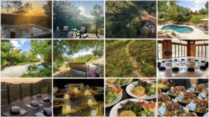 Root, Rise and Renew Retreat