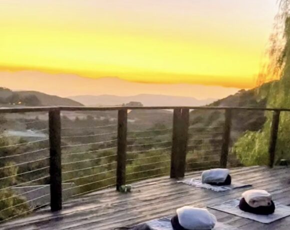 Ojas: Root, Rise and Restore