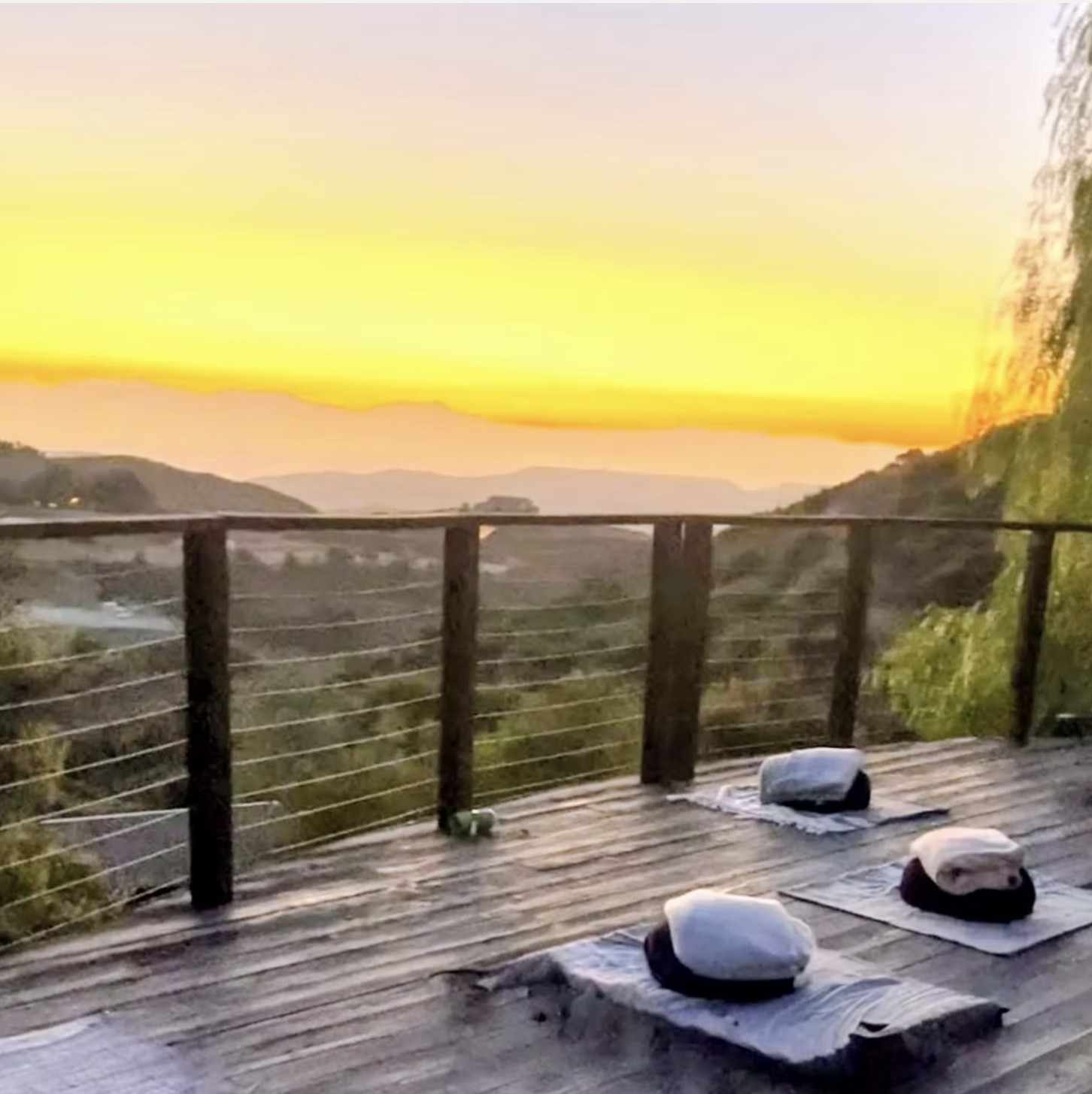 Ojas: Root, Rise and Restore