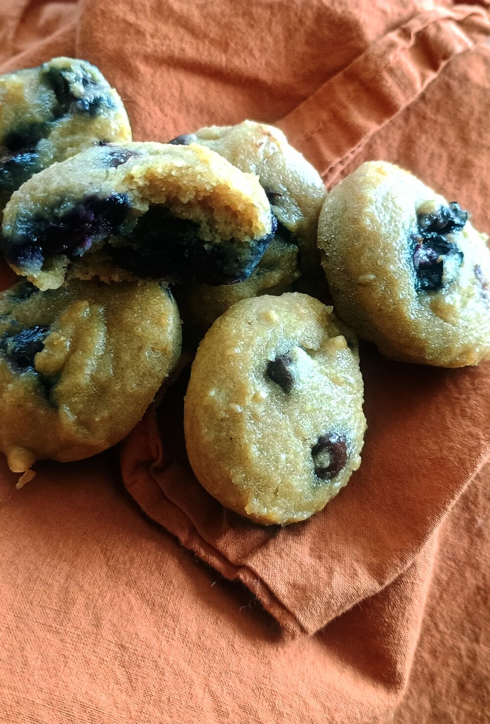 GF and Vegan Protein Snack Cakes