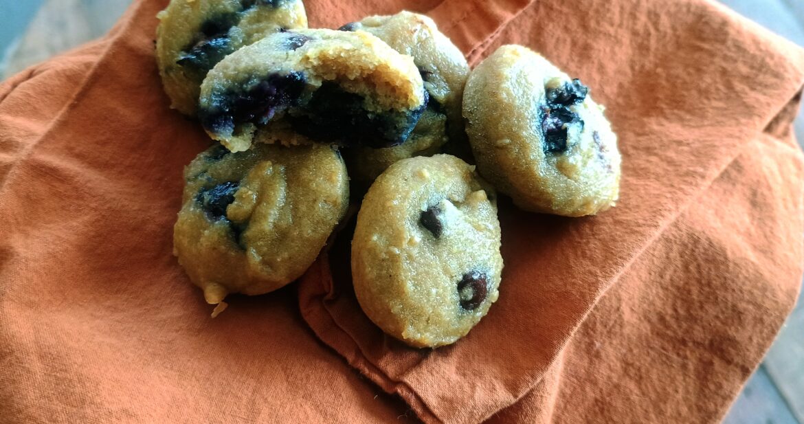 GF and Vegan Protein Snack Cakes