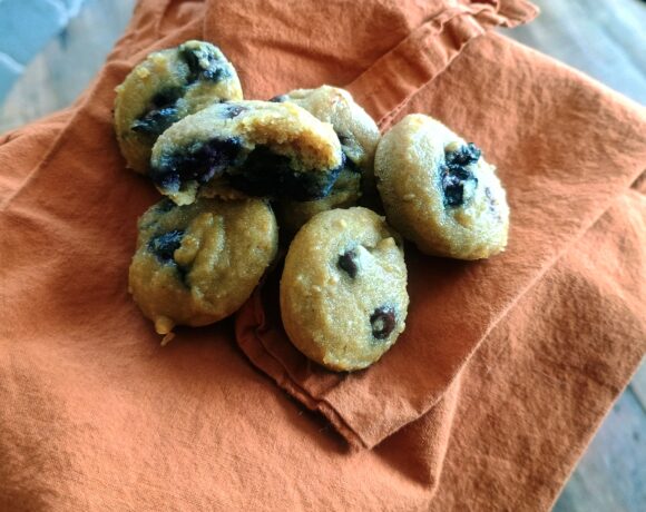 GF and Vegan Protein Snack Cakes