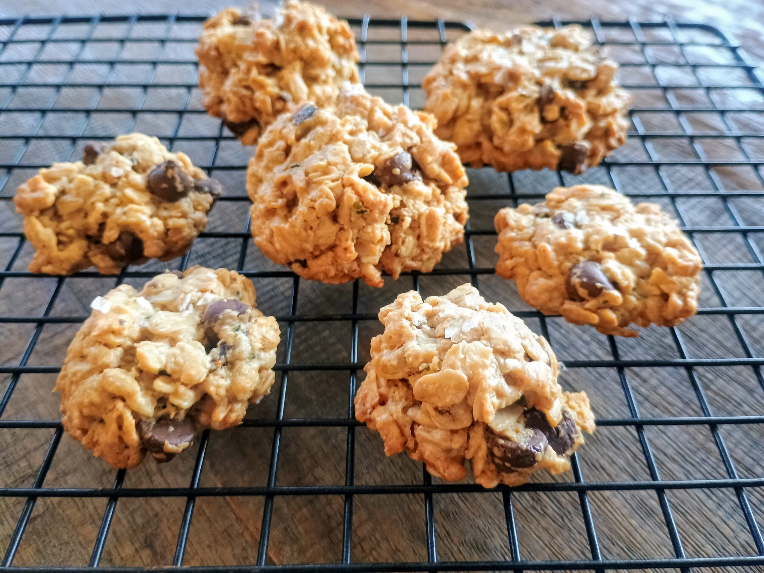 Sensational Small Batch Fig, Coconut & Chocolate Chunk Oatmeal Cookies {gf, v}